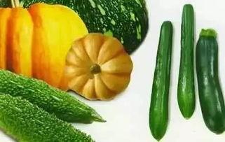 春吃菠萝夏吃瓜,四季养生之道